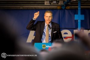 Petr Bystron, AfD